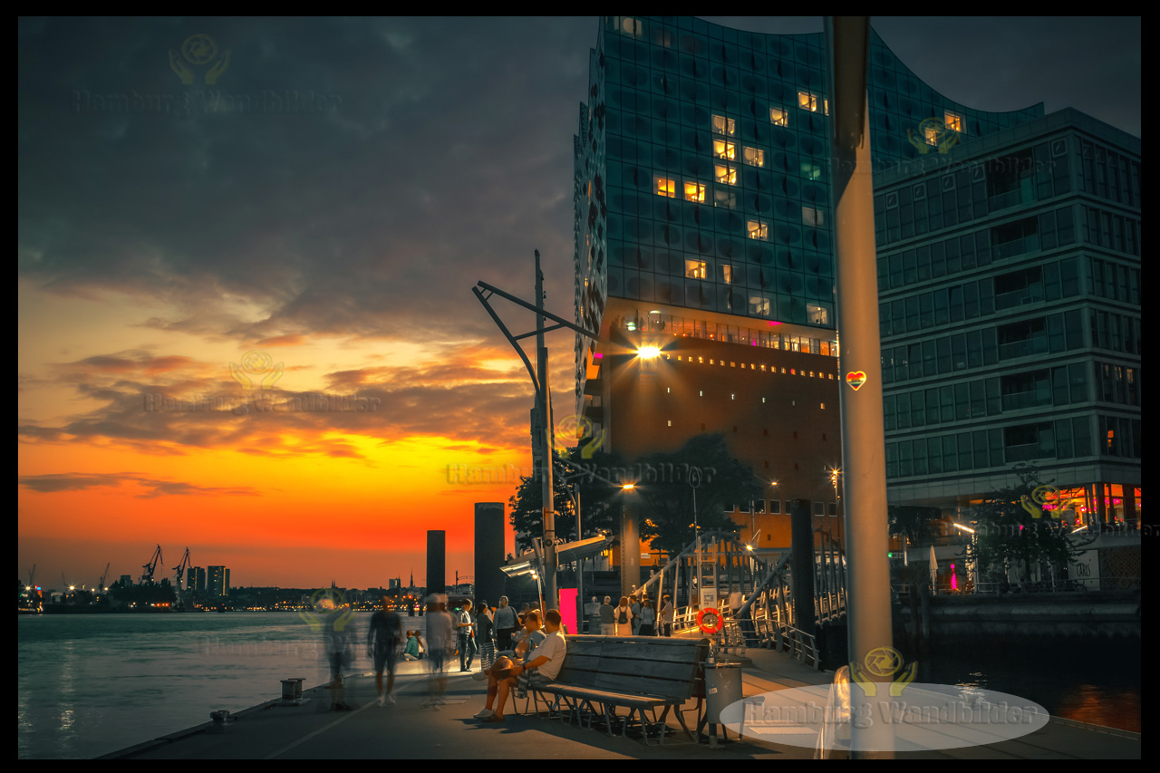 Elbphilharmonie  /  2556