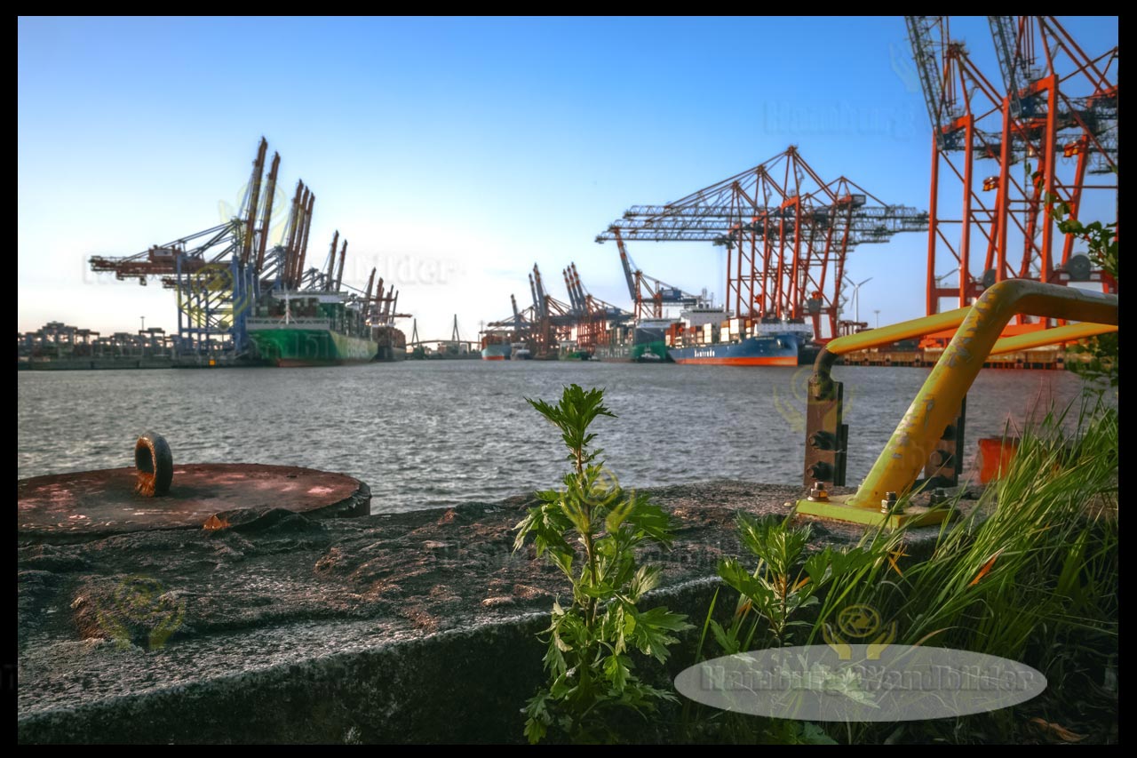 blick vom ufer auf die containerterminals als hamburg wandbilder