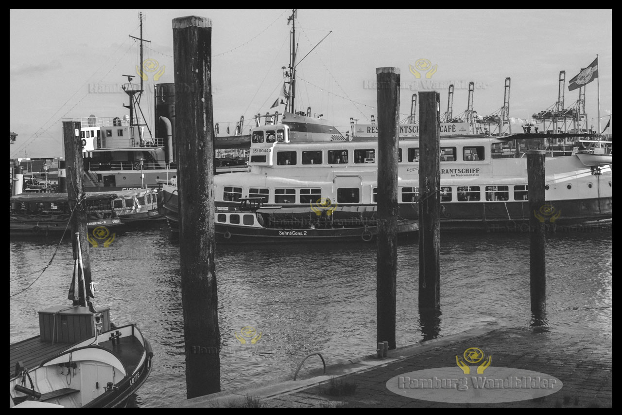 Museumshafen   SW  /  2019