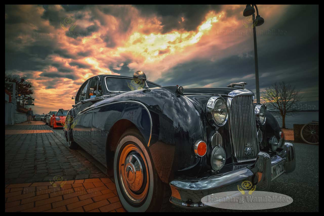 Jaguar  /   2083