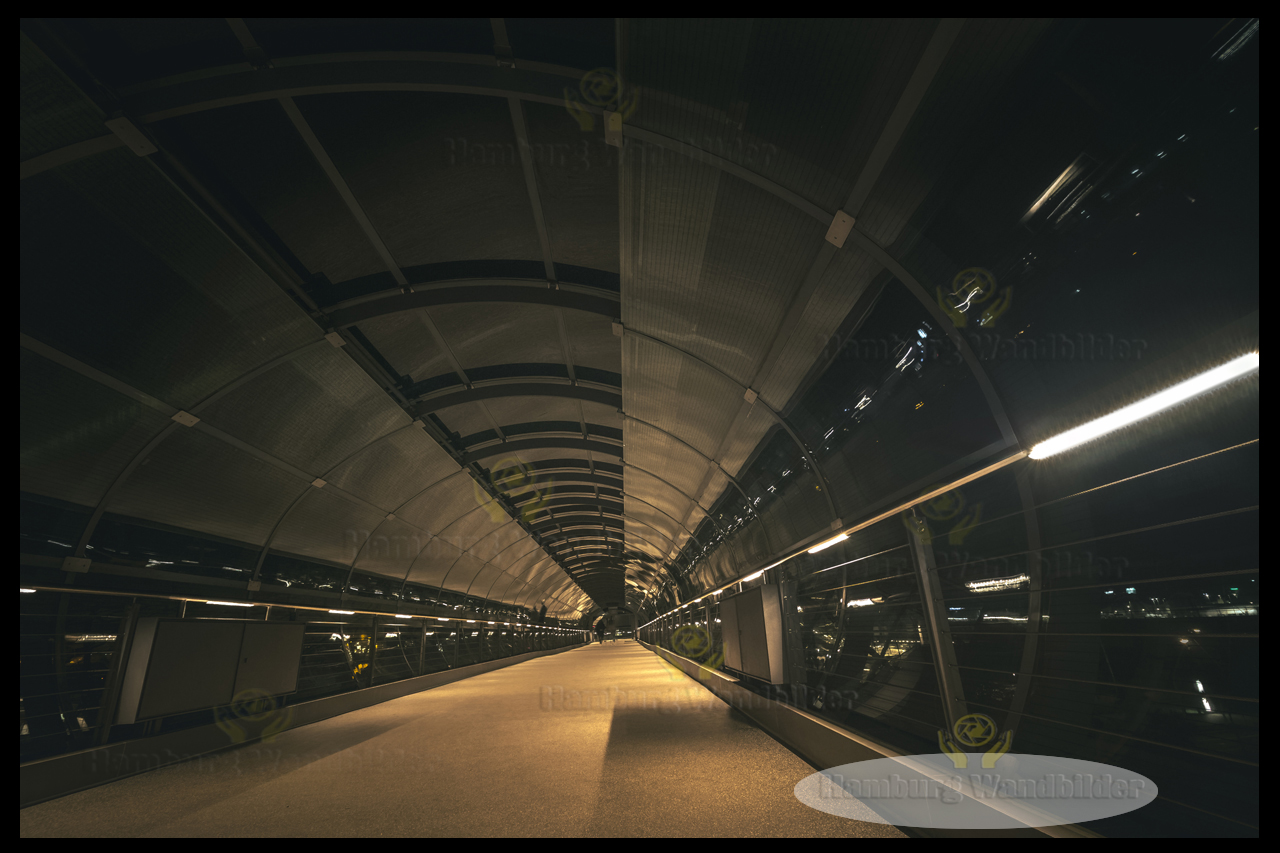 Tunnel  / 2442