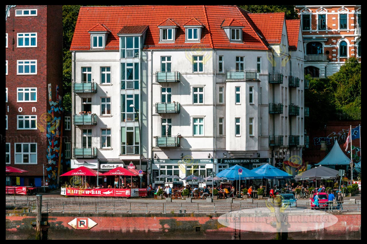 die haifischbar im holzhafen als wandbilder