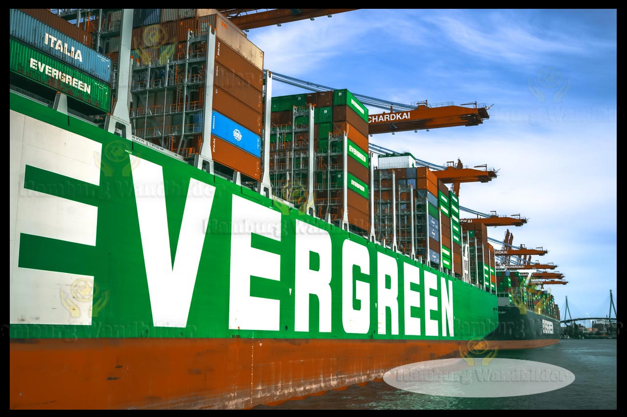 Evergreen  /  2830