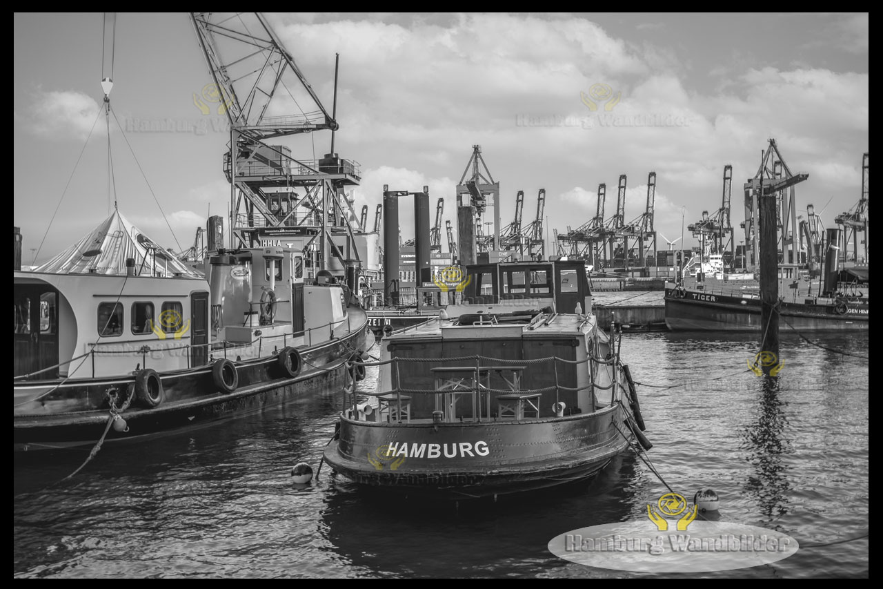 Museumshafen   SW  /   2239