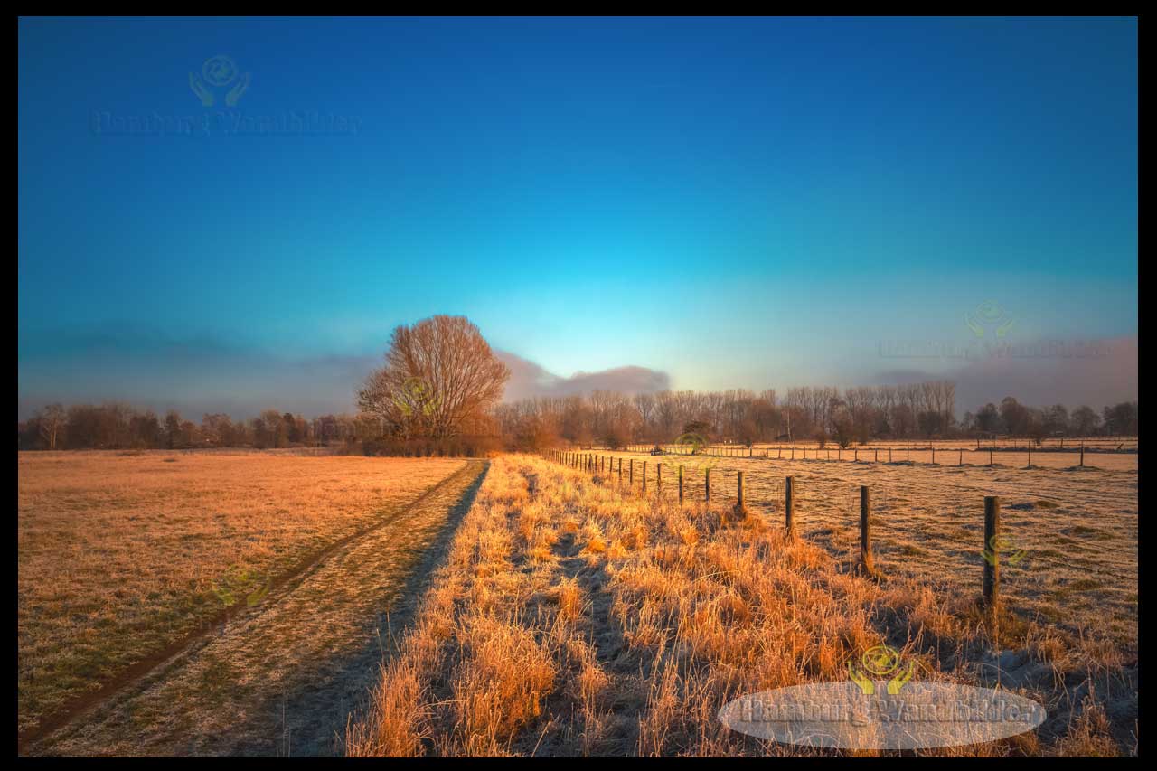 Westerweiden  /  2514