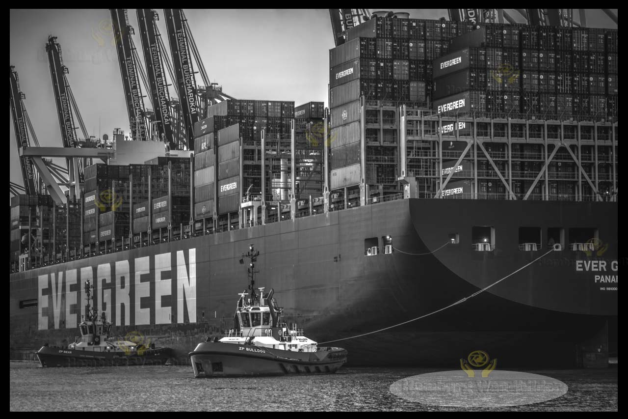 Containerschiff SW  /  1399