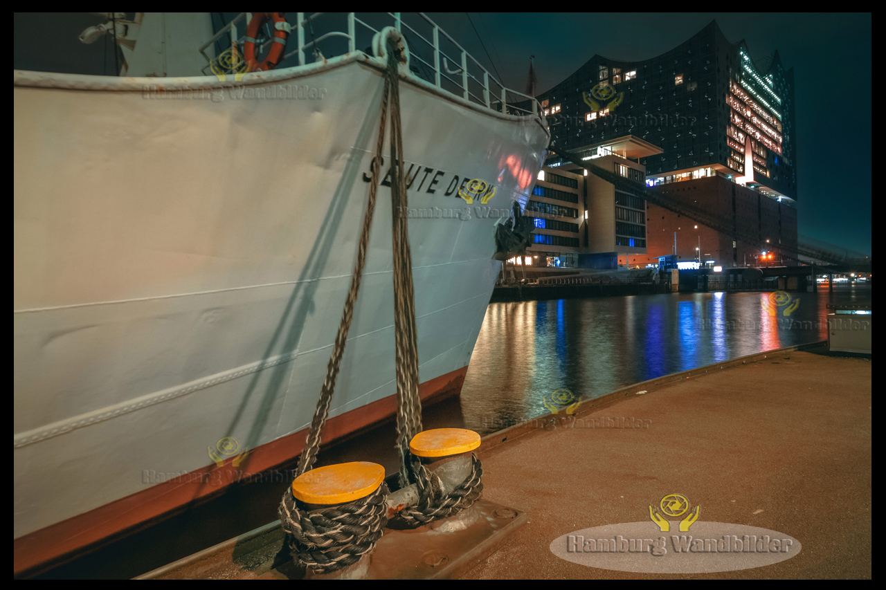 Elbphilharmonie  /  1355