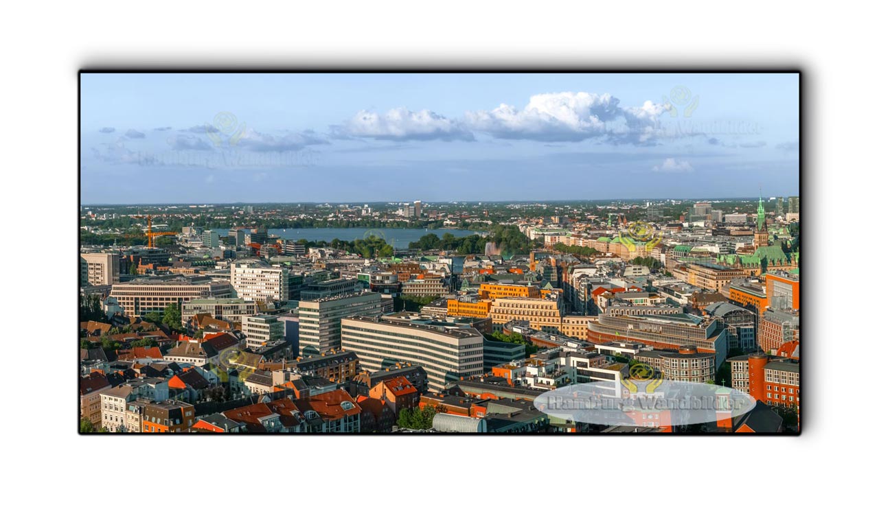 Außenalster  /  2140  /  2:1