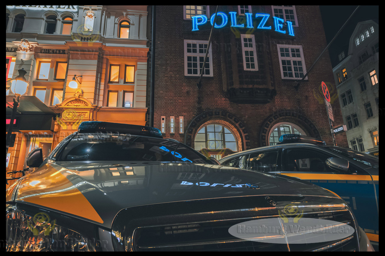zwei peterwagen vor der davidwache bei nacht  hamburg wandbilder
