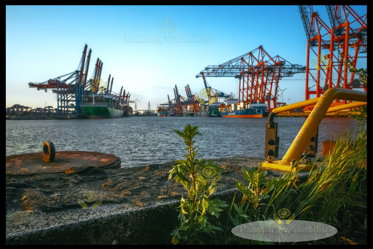 Hafen  /  1009