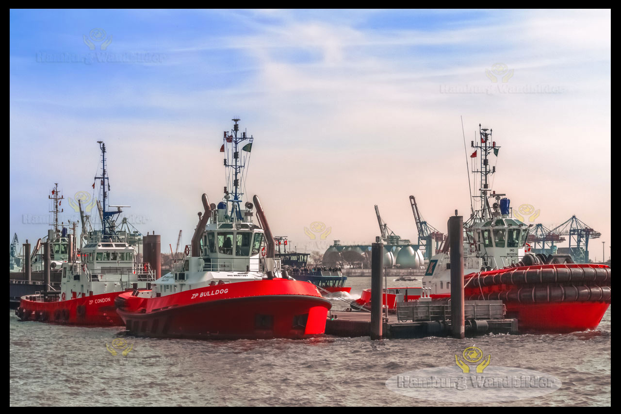 Schlepper  /  1267