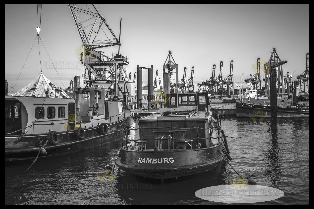 Museumshafen  SW  /  2239