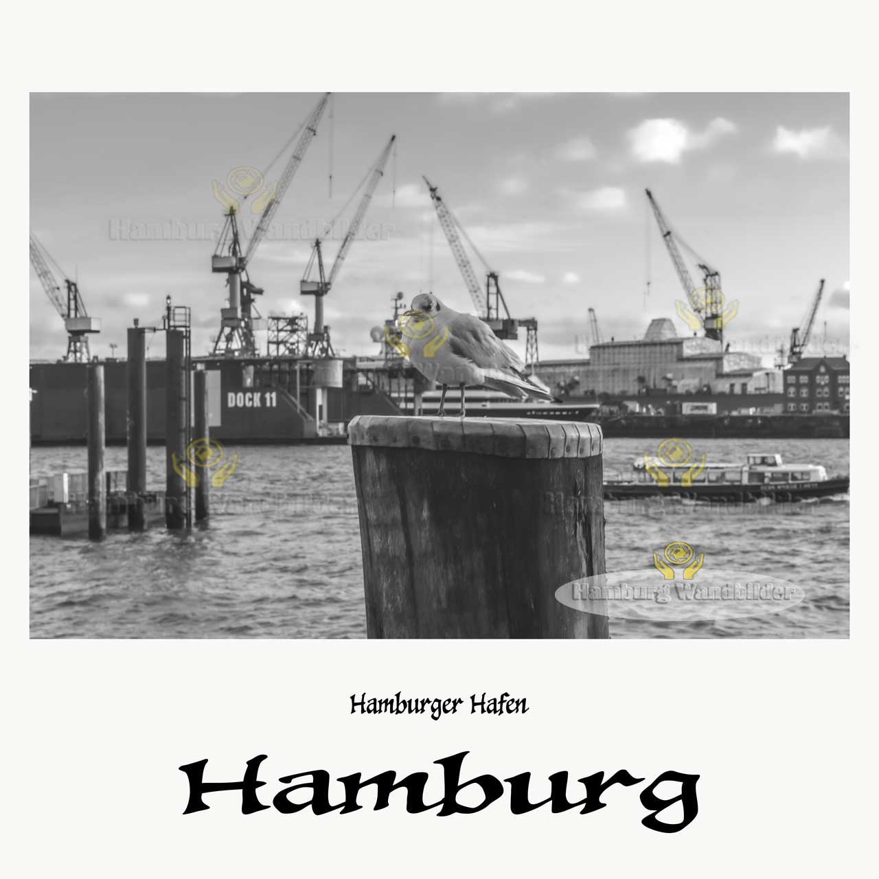 Hafen GG  /  2794
