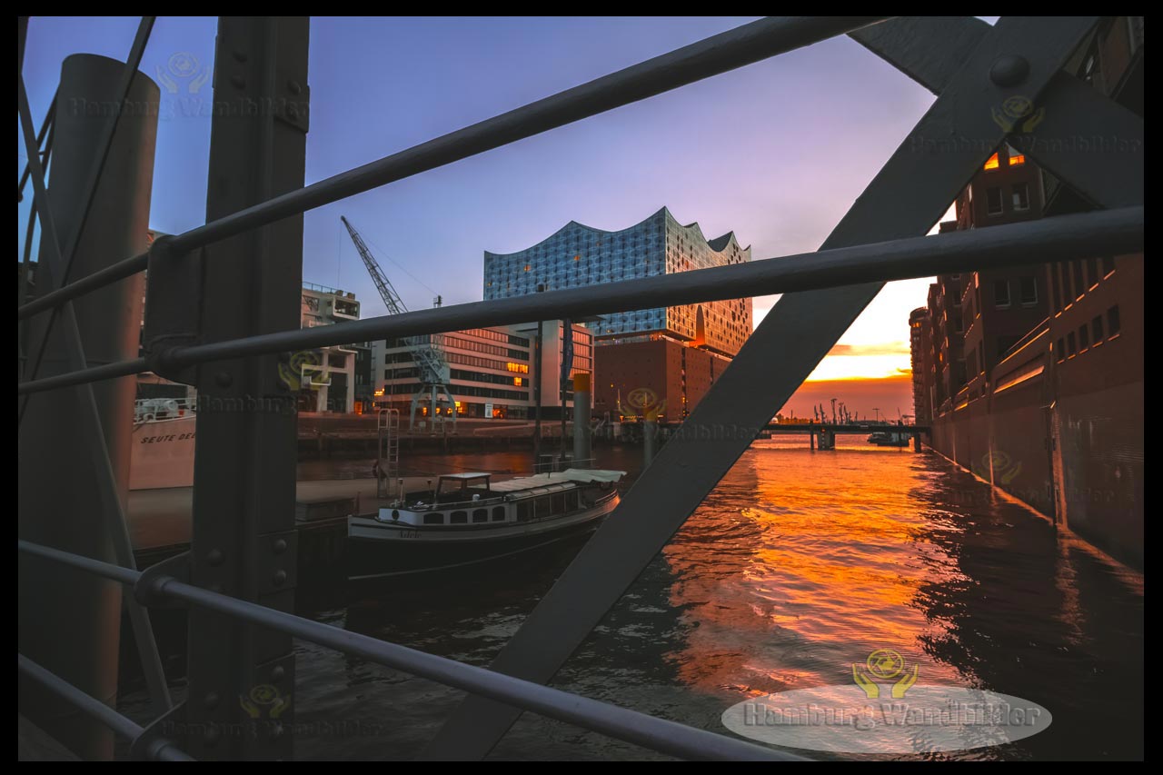 Hafencity  /  1388 
