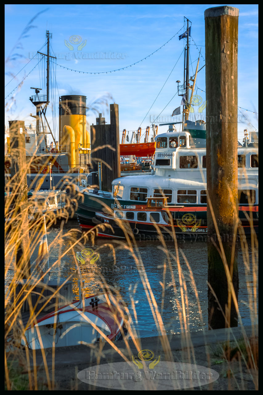Museumshafen  HF /  2559