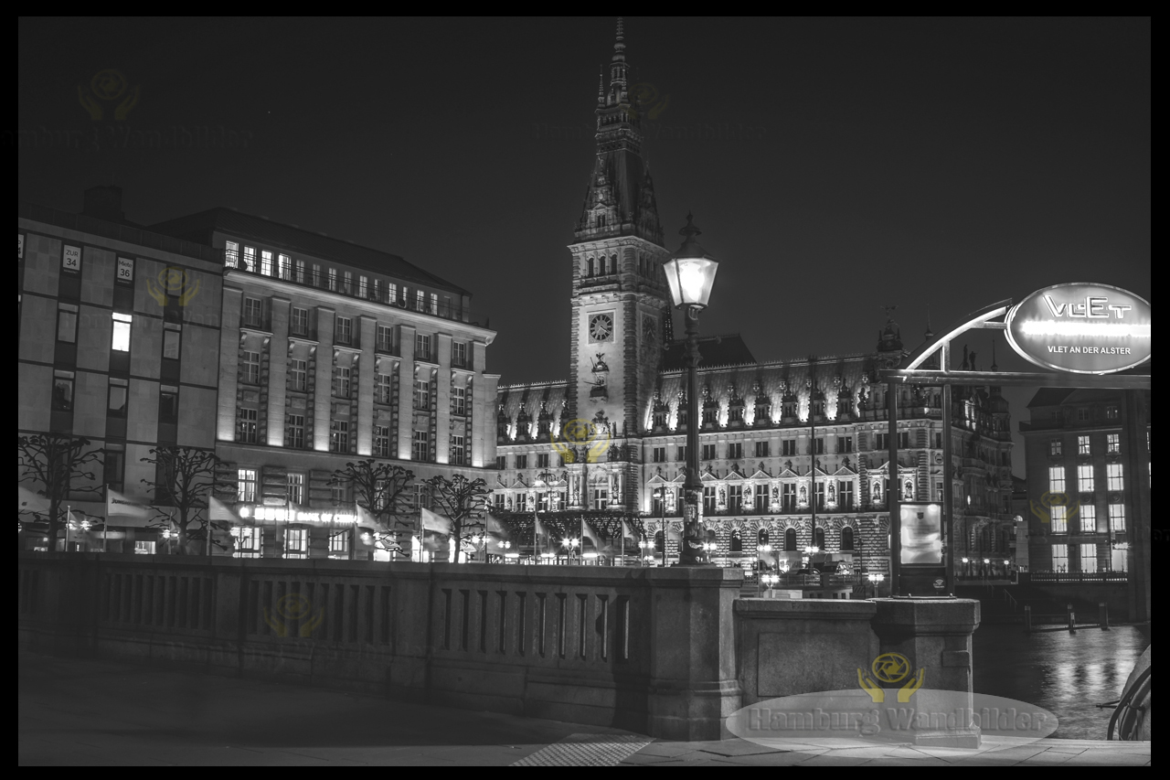 Hamburger Rathaus  SW  /  1331