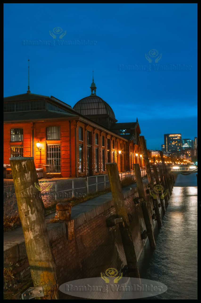 Fischauktionshalle  HF  /  2374