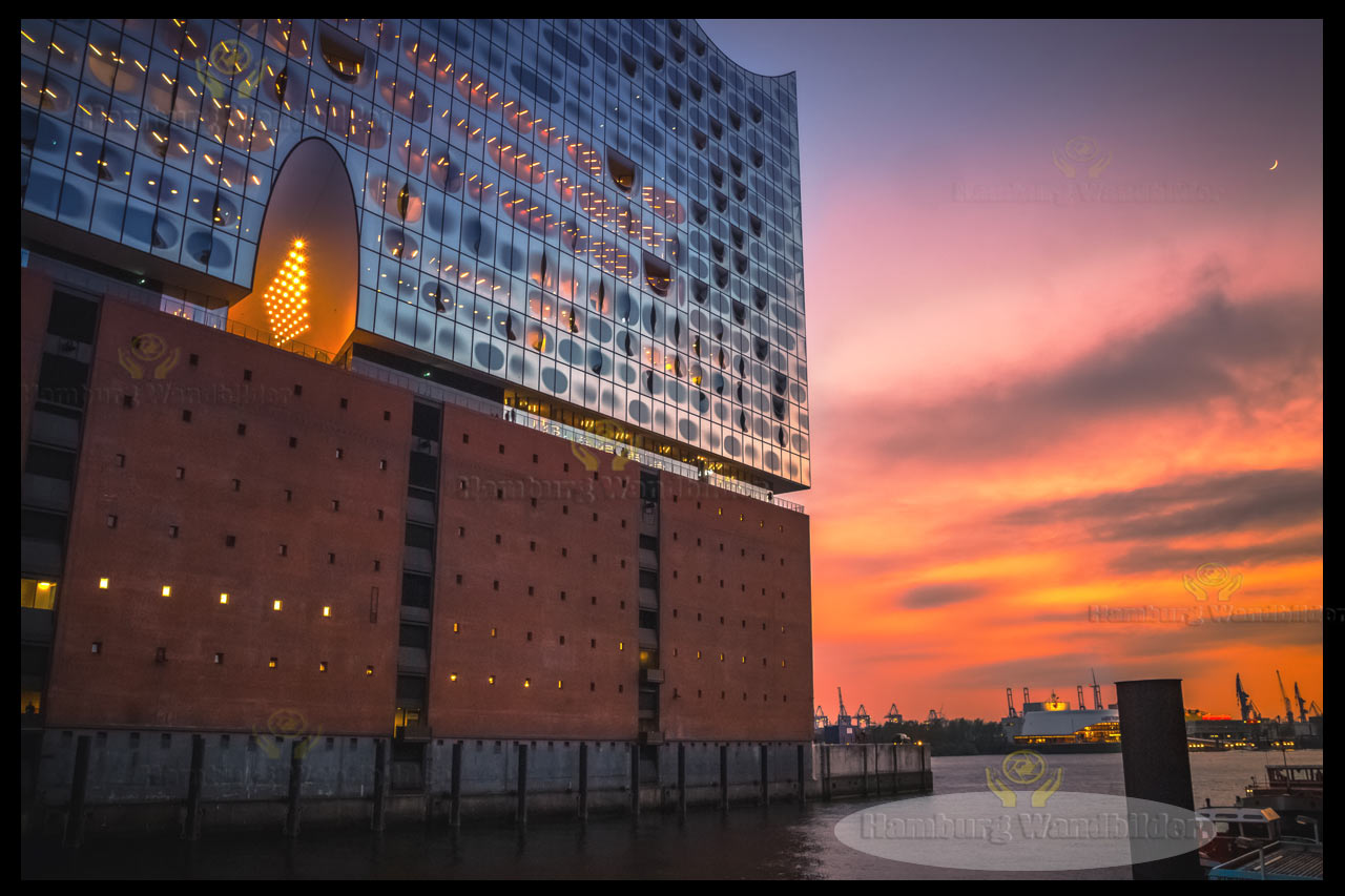 Elphi   /  2160 