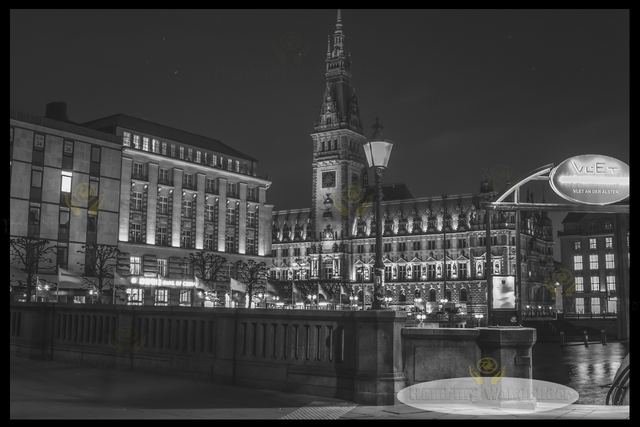 Hamburger Rathaus  SW  /  1331