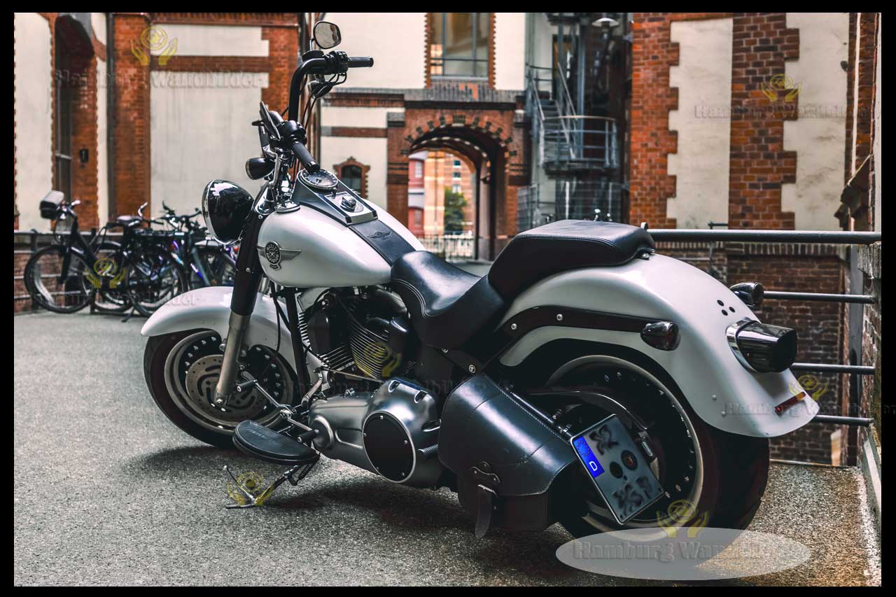 Harley  /  2664