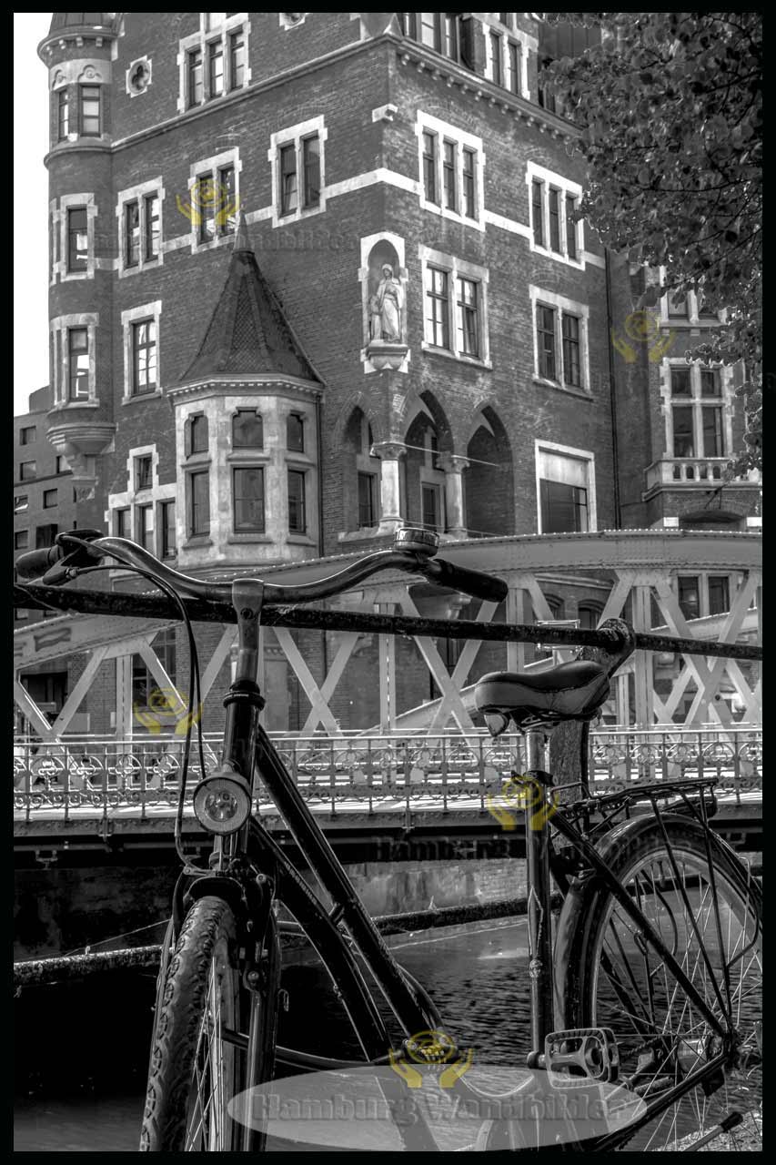 Fahrrad  SW  /  2542