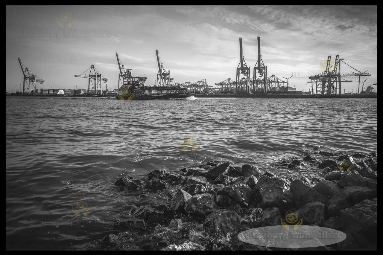 Hafen  SW  /  1545