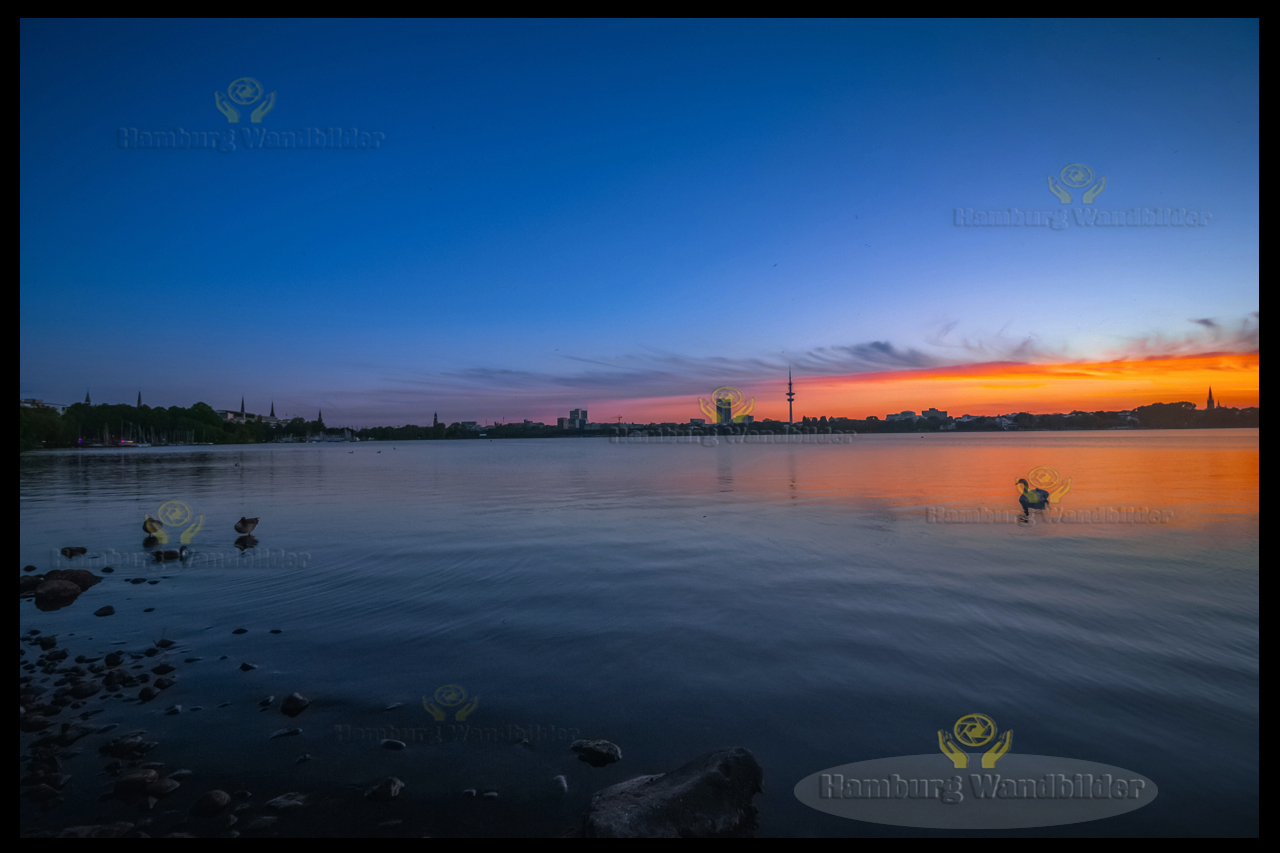 Außenalster  /  2314