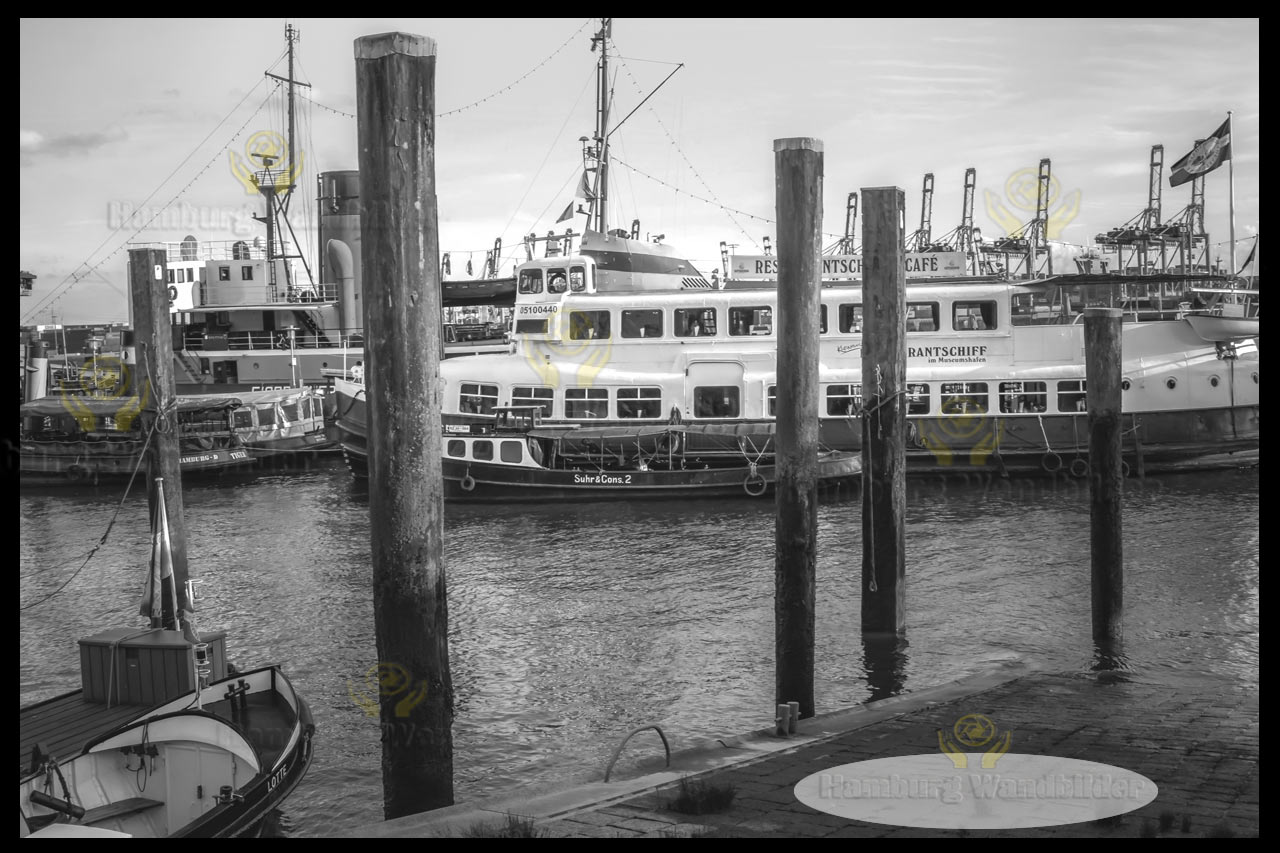 Museumshafen  SW /  2019