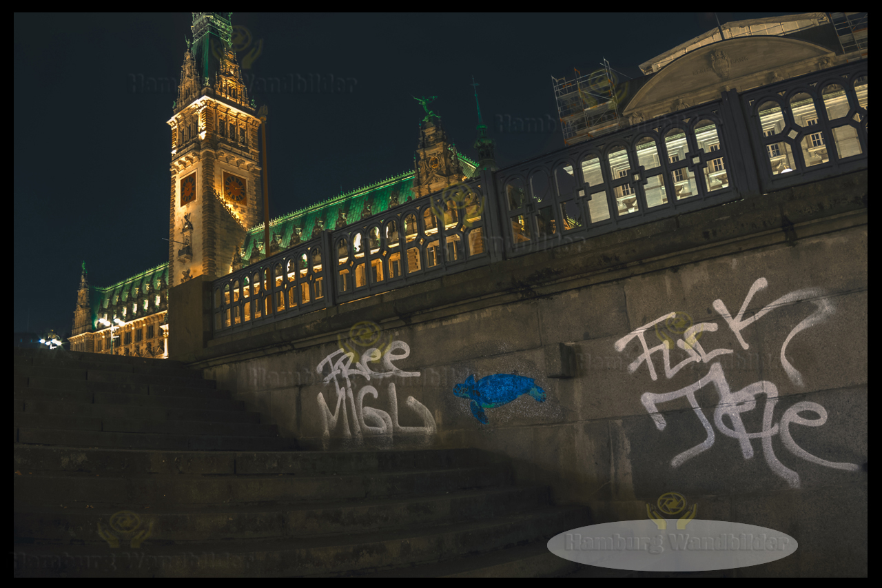 der blick von der kleinen alster auf das hamburger rathaus nachts hamburg wandbilder
