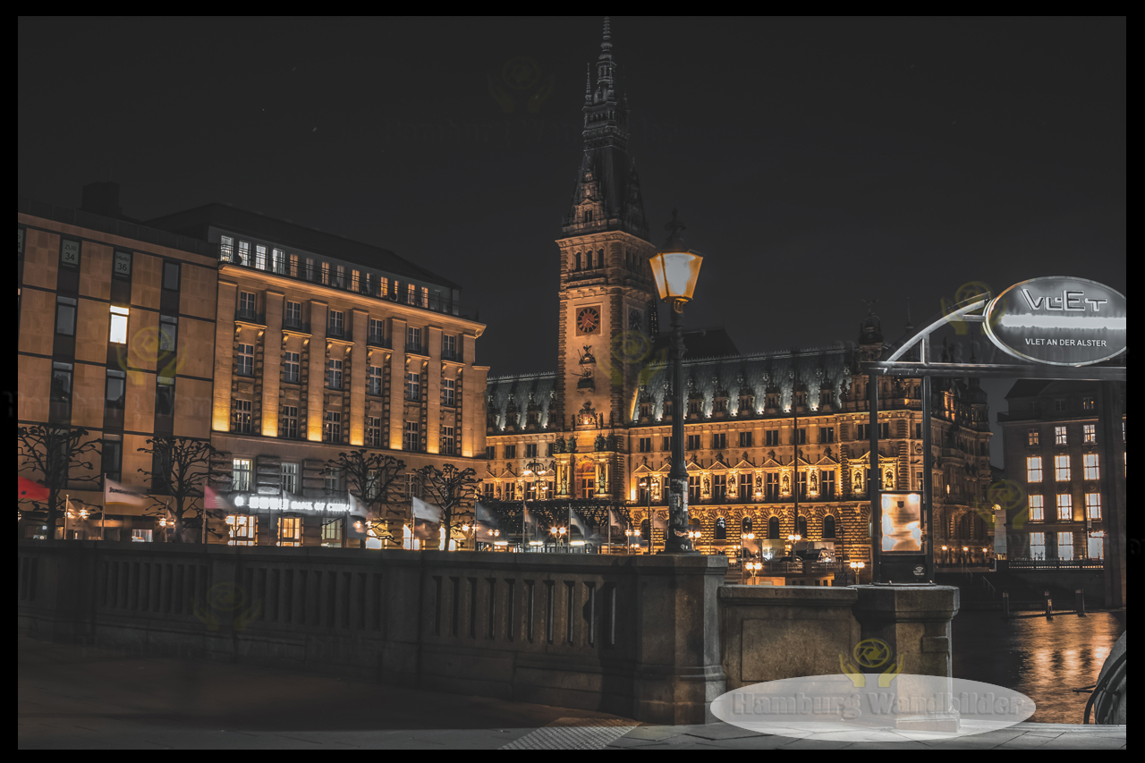 Hamburger Rathaus  BC  /  1889
