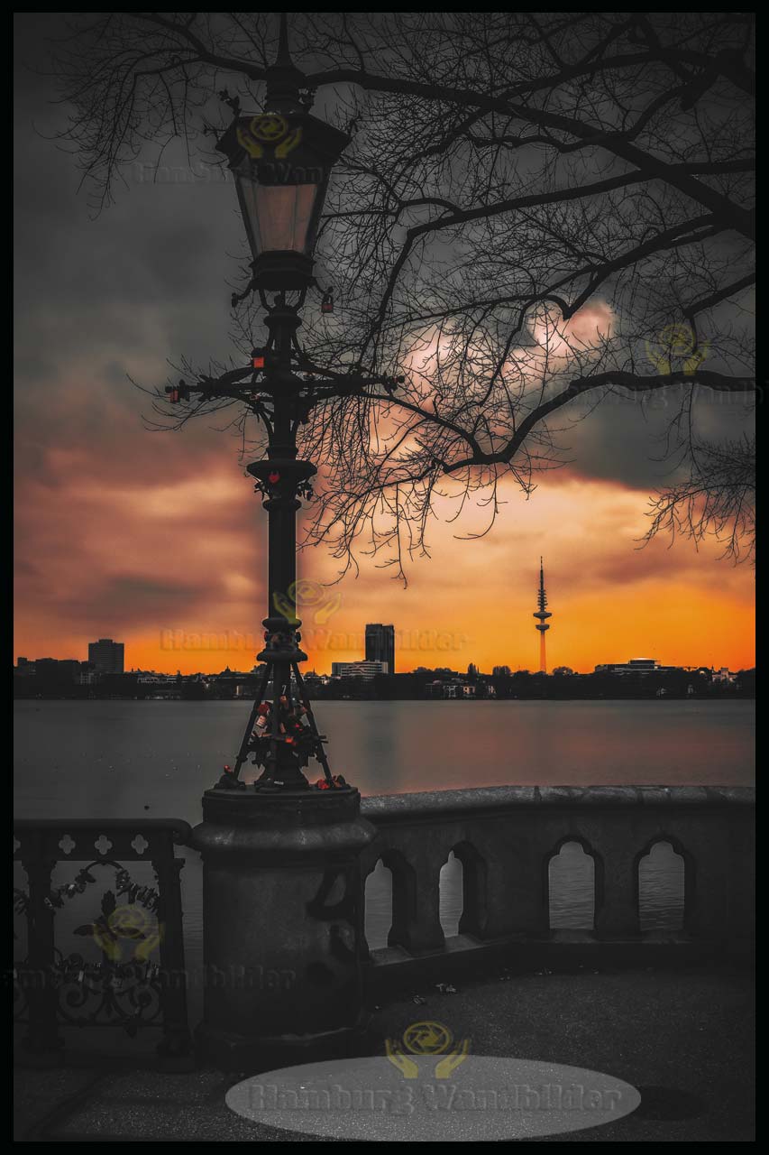 Außenalster  BC  /  2442  