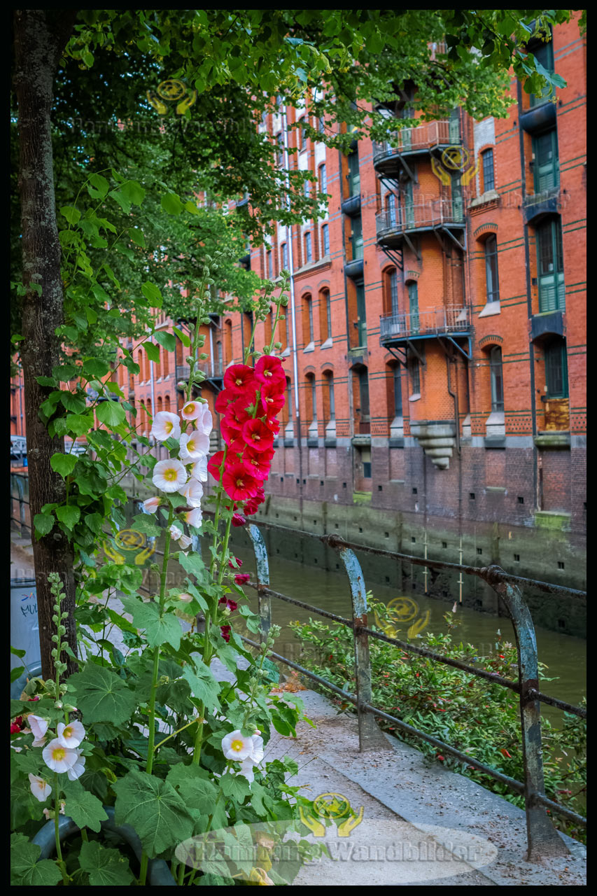 Speicherstadt  HF /  1324