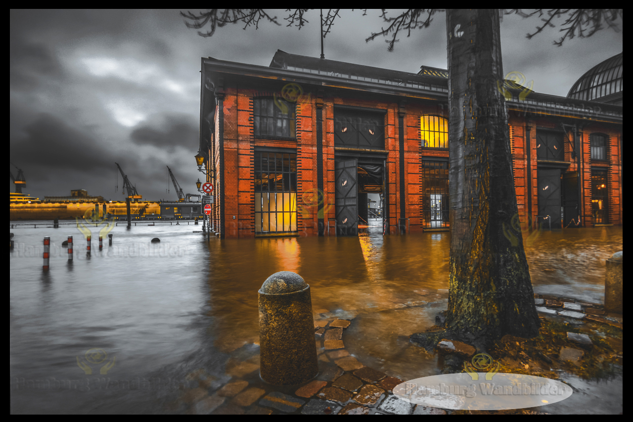 Fischauktionshalle  BC  /  2326