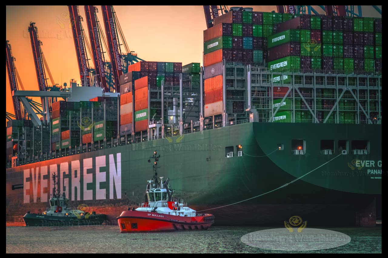 Containerschiff  /  2404 
