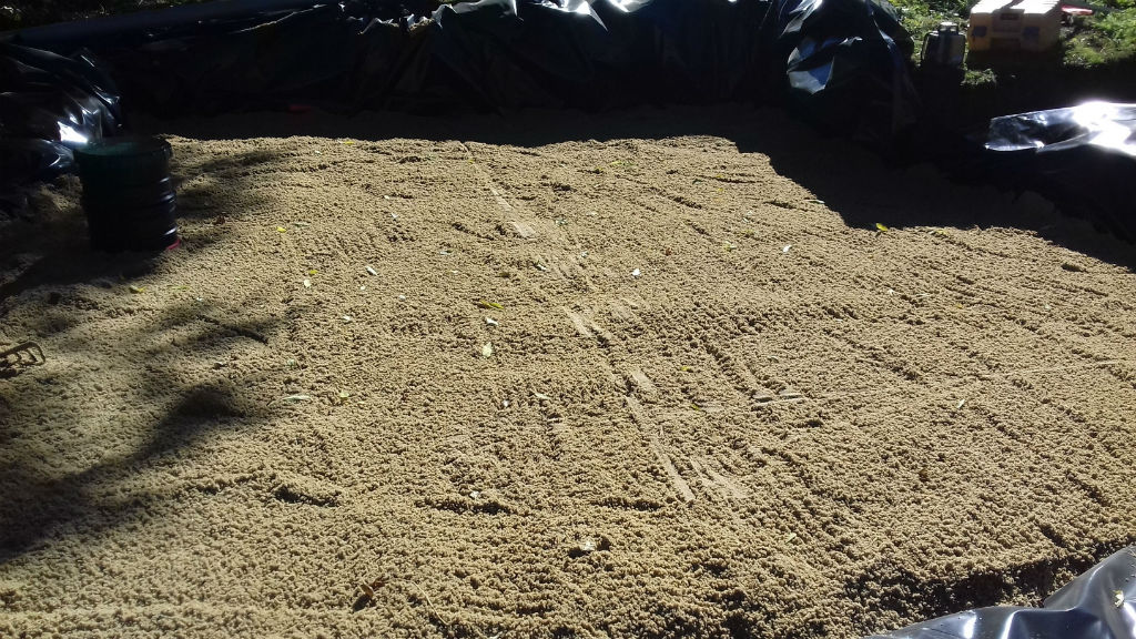 5/6 Réalisation du massif filtrant avec le sable de Noustoulet