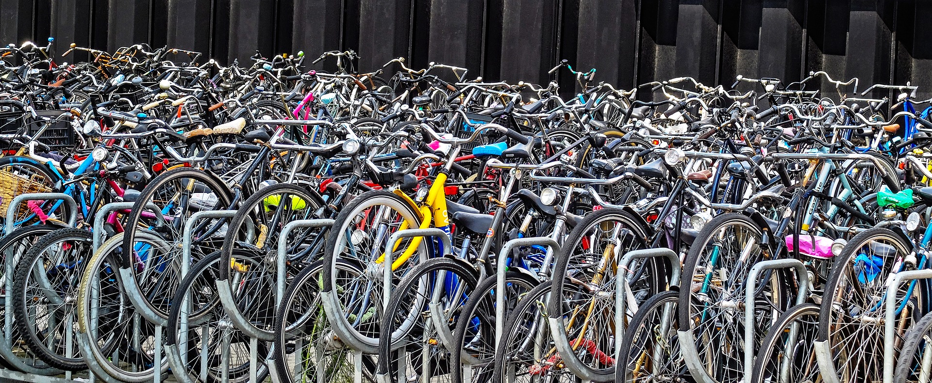 自転車通販サイト-自転車のD-MALL館 / トレンドなアースカラー