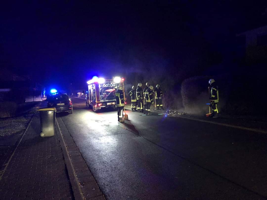 Feuer 1 - Mülltonnenbrand in Eiershausen