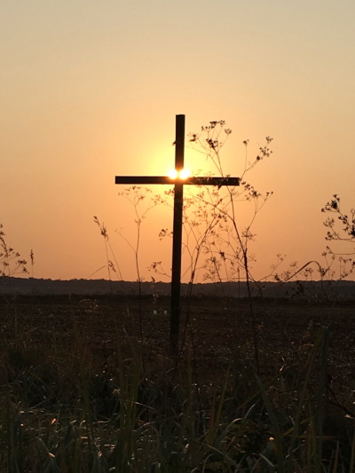 Grünes Kreuz Agrar Vorharz