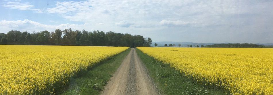 Einladung Agrar Vorharz