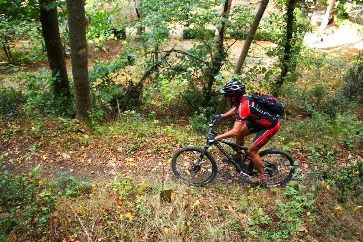 Ronde VTT des 3 Quilles 2014 - ©Photo : Sylvain Dossin