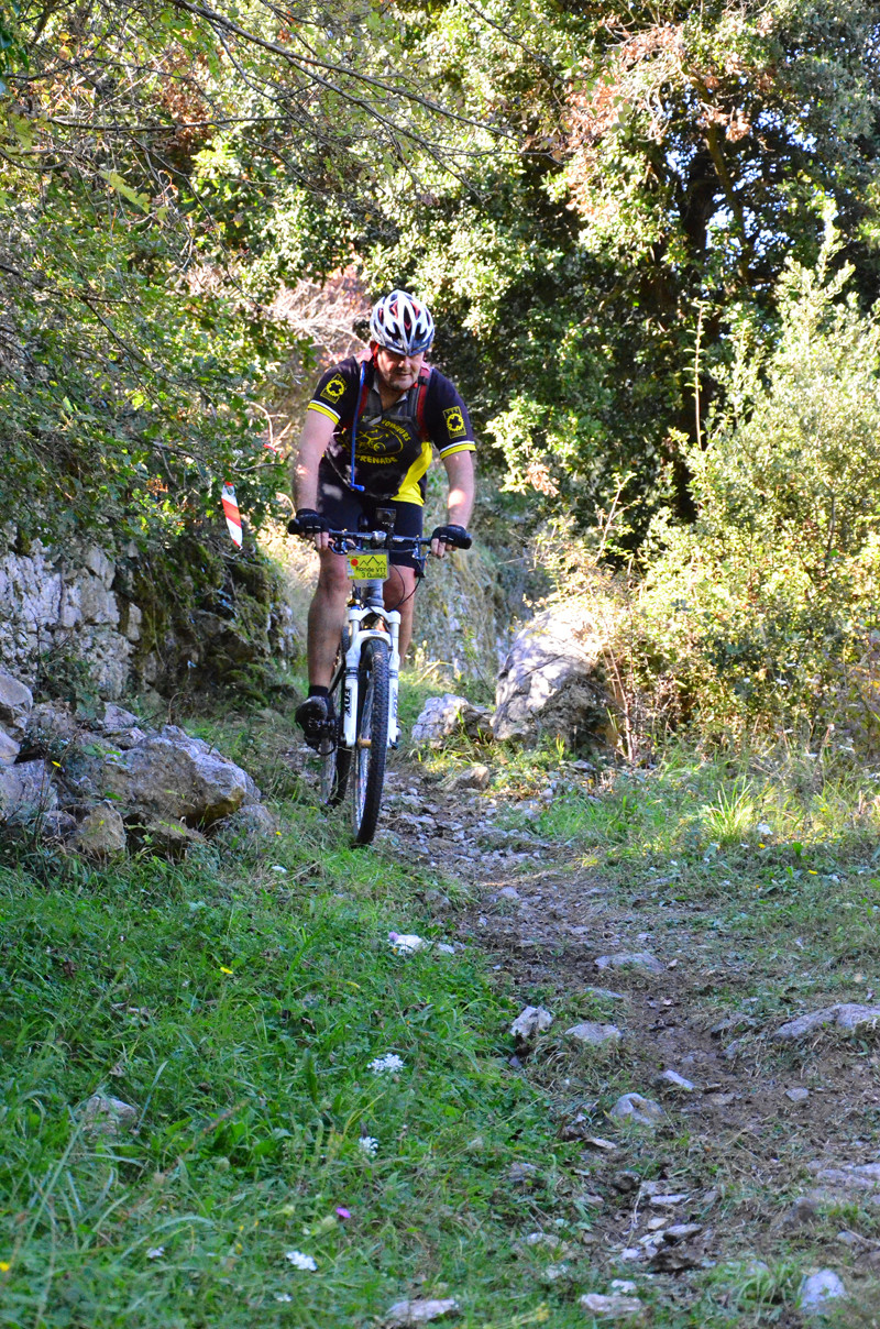 Ronde VTT des 3 Quilles 2014 - ©James Photographie