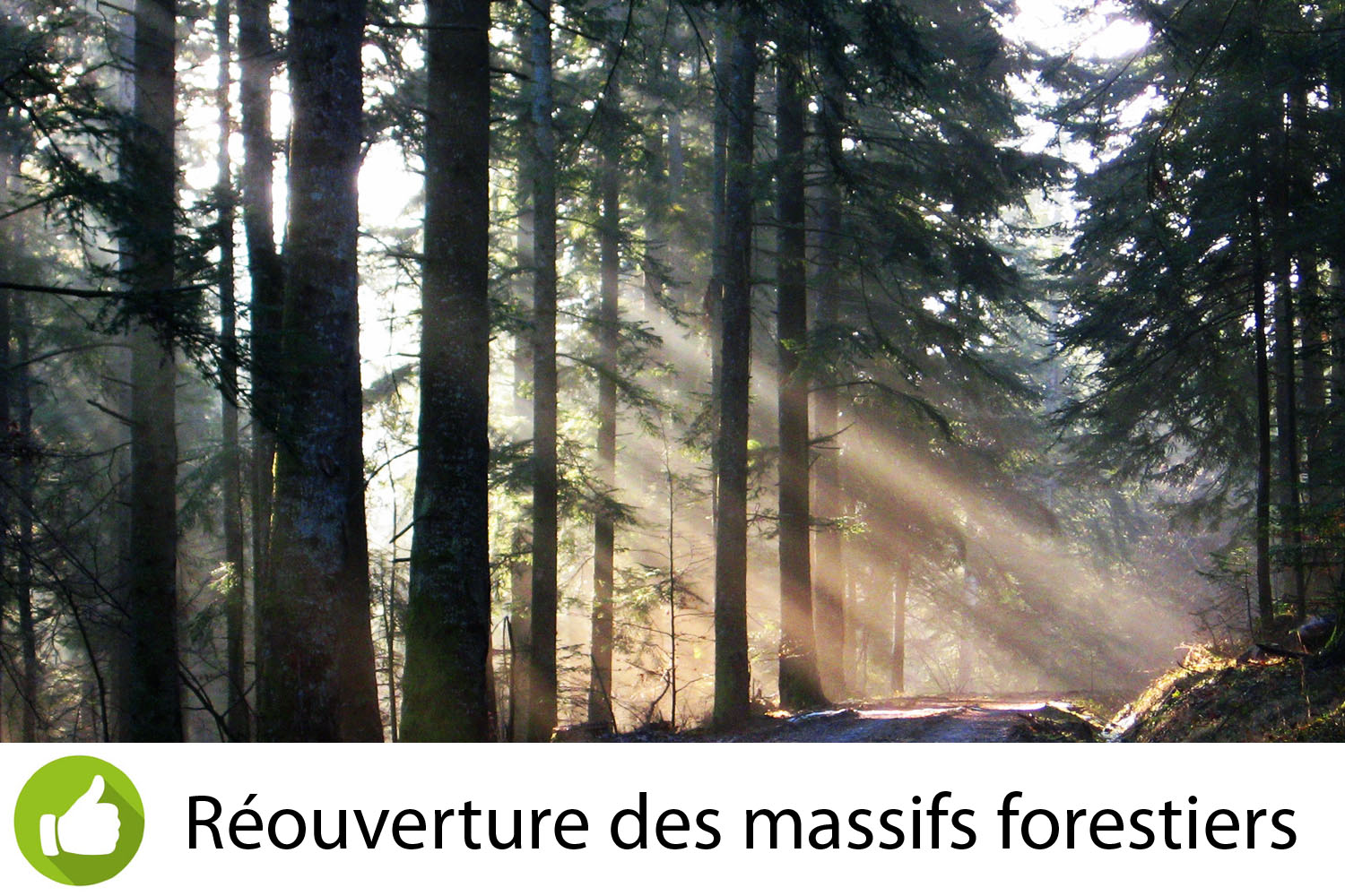 Réouverture des massifs forestiers