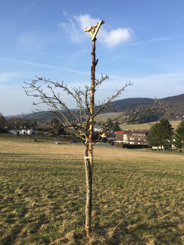 Eine Ansitzwarte für Greifvögel