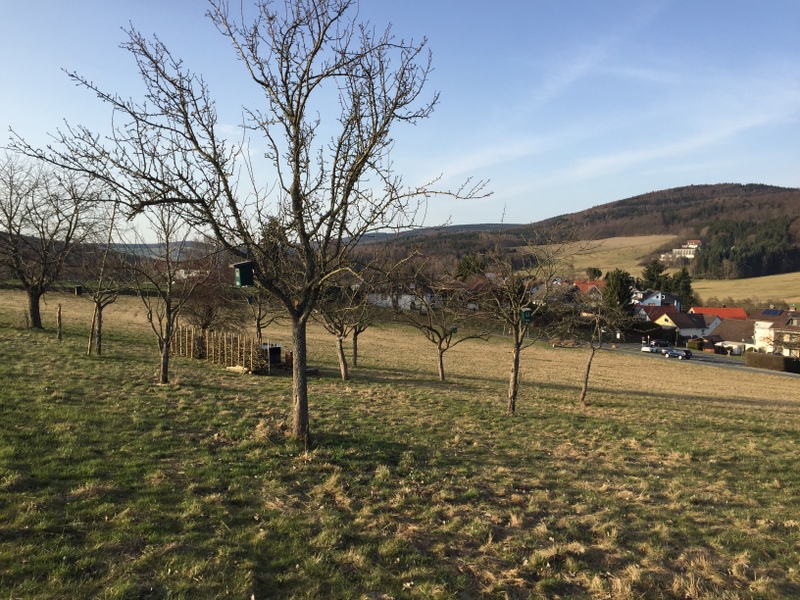 Die Streuobstwiese mit Blick auf Oberems