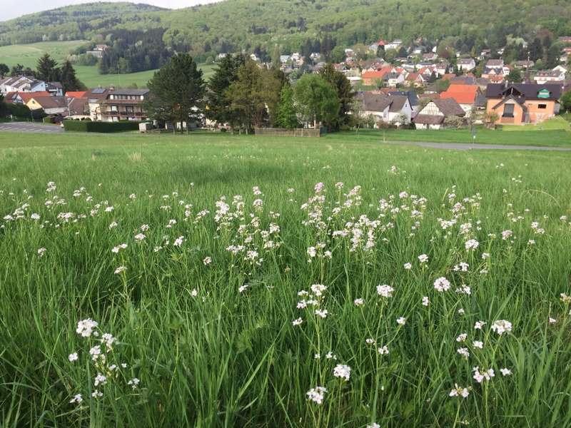 Blick auf Oberems