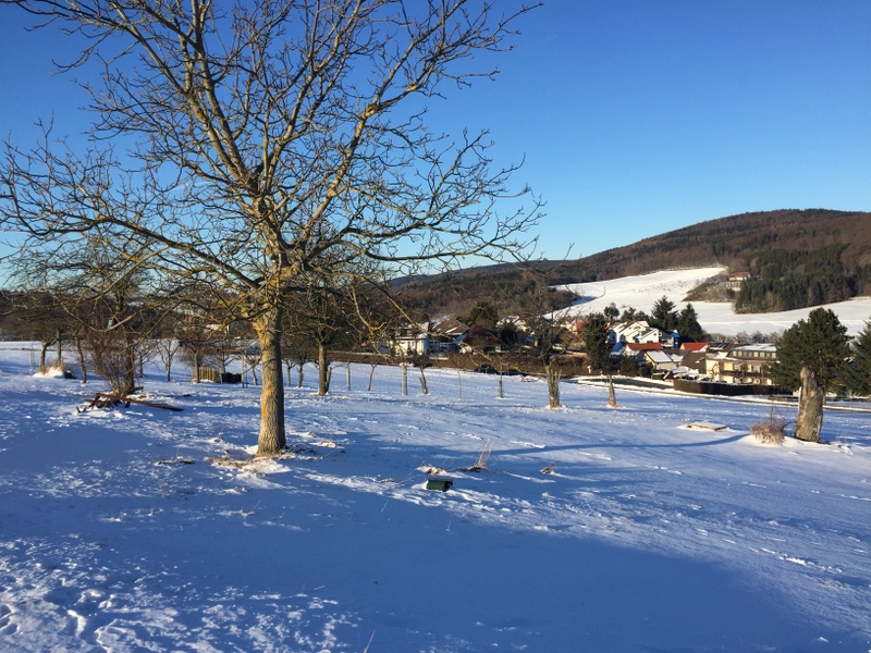 Winter auf der Streuobstwiese 