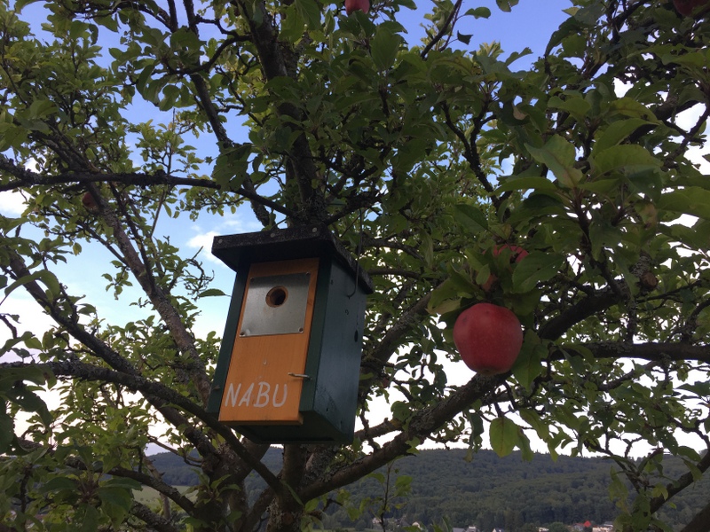 Ein Nistkasten auf der Streuobstwiese