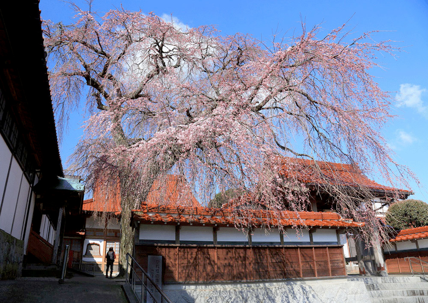Gokurakuji Temple