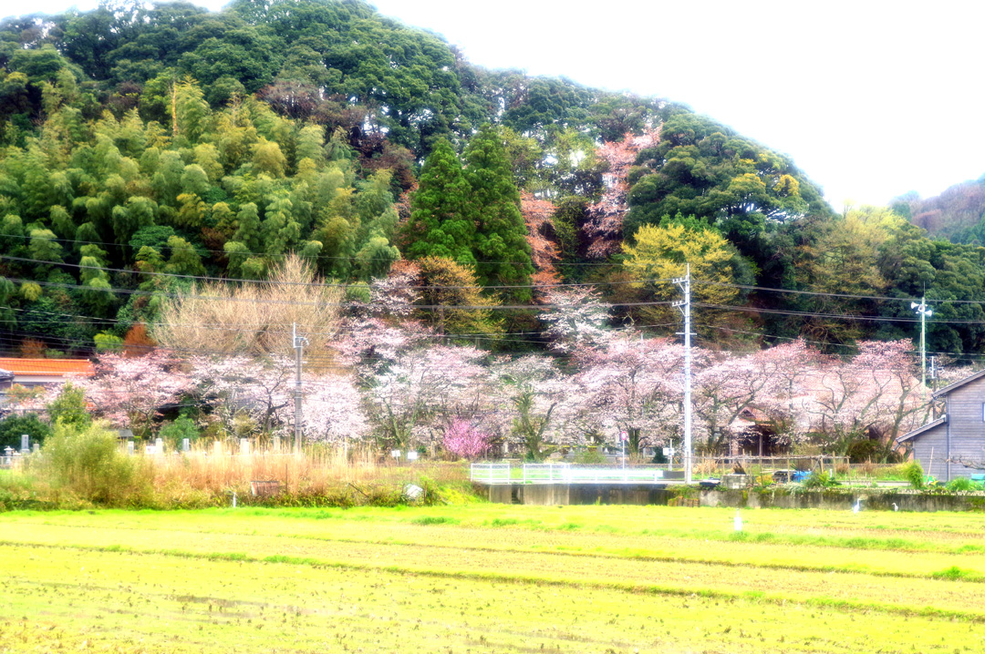 Hikiji,  Kuhonsan