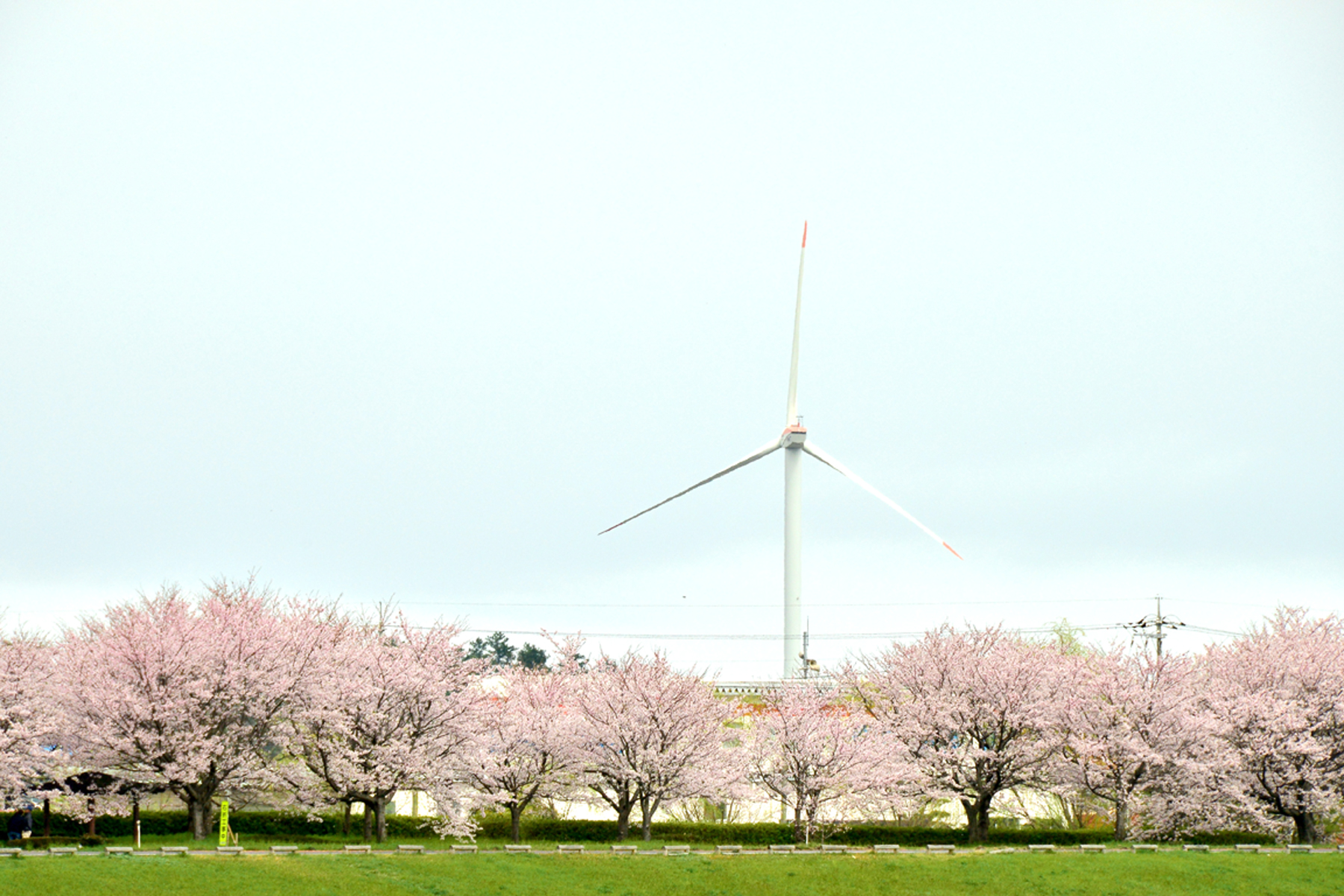 Along Tenjin River